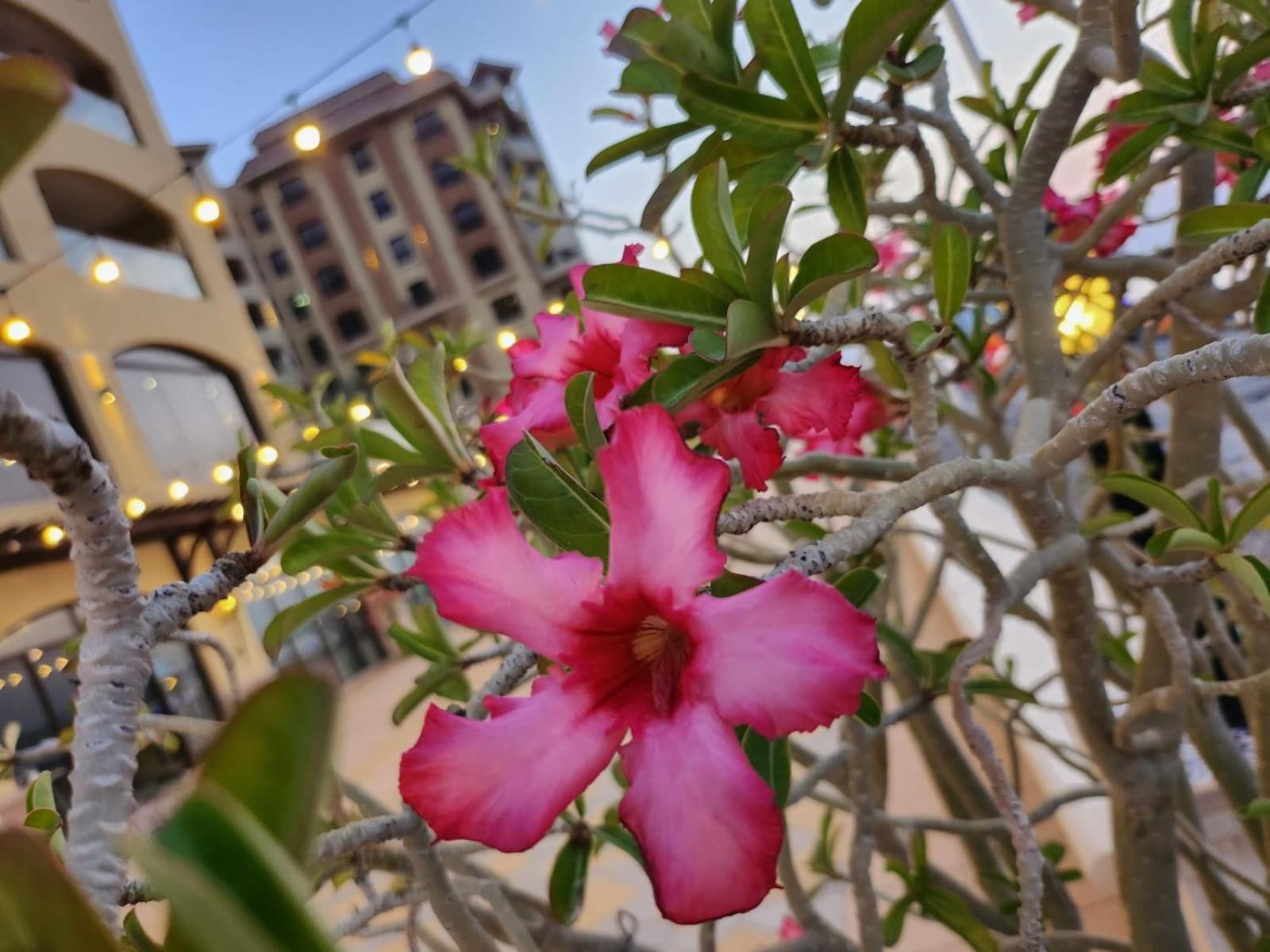 Apartment Marjan Island Beautiful Sea Side View Luxury Khaimah Uae Ra’s al-Chaima