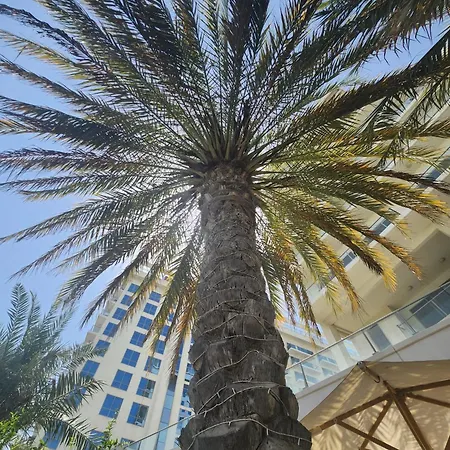Marjan Island Beautiful Apartment Sea Side View Beach Luxury Rooms Ras Al Khaimah Uae Exterior foto